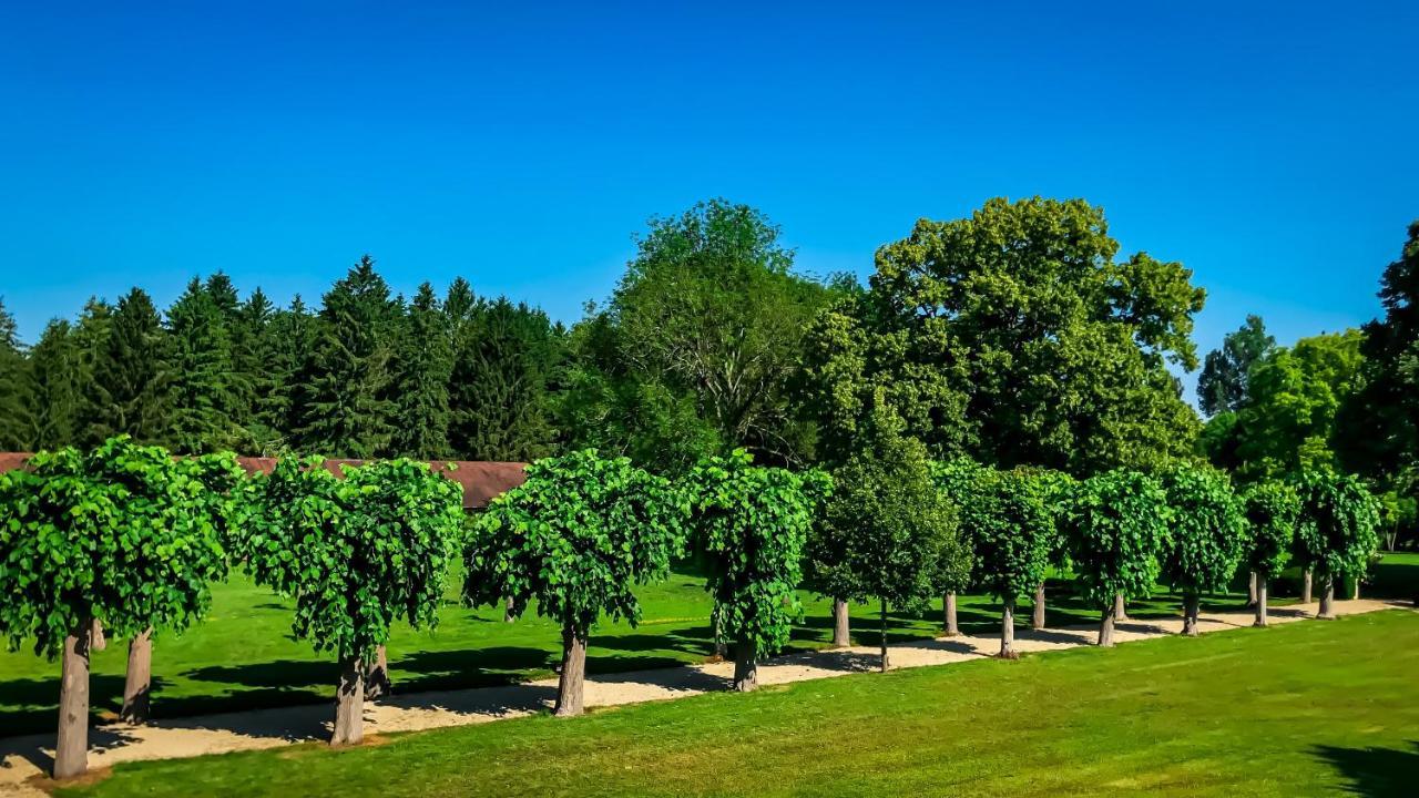 Le Manoir De Laferte-Sur-Aube Hotell Exteriör bild